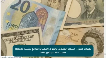 تغيرات كبيرة.. أسعار العملات بالبنوك المصرية تتراجع بنسبة ملحوظة السبت 20 سبتمبر 2025